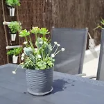 Con Gran Terraza * Vinarós