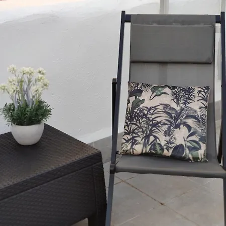 Con Gran Terraza Apartment *
